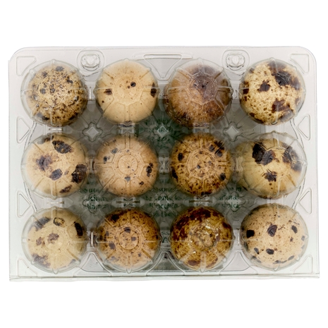 12 Uova Fresche di Quaglia